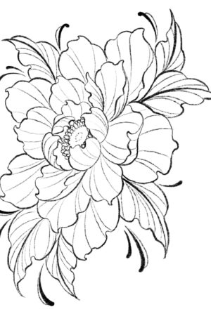 Peony (Deposit)